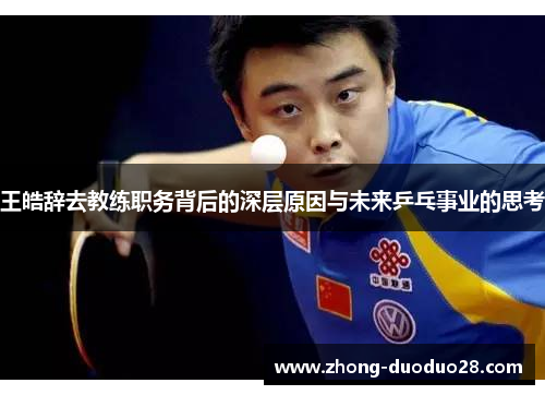 王皓辞去教练职务背后的深层原因与未来乒乓事业的思考 王皓辞去教练职务背后的深层原因与未来乒乓事业的思考