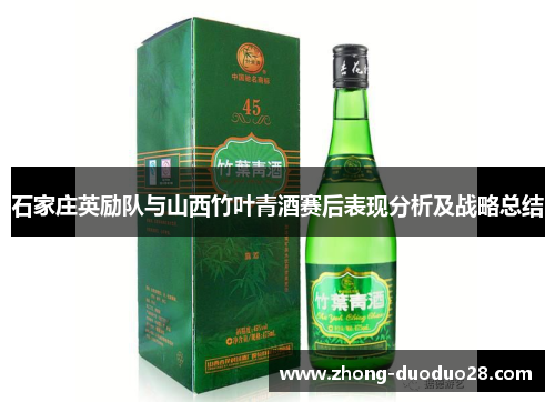 石家庄英励队与山西竹叶青酒赛后表现分析及战略总结